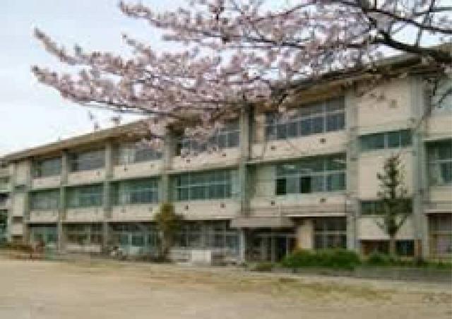 小学校　横浜市立桂小学校（小学校）まで590m