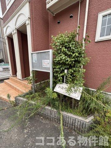 ドミール5の外観写真