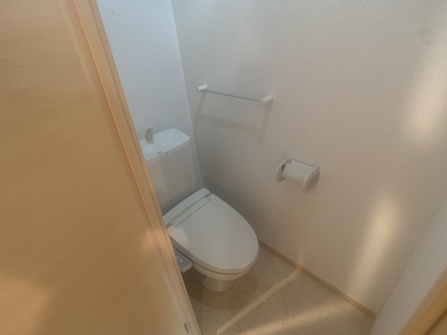 ジアコスモ神戸三宮のトイレ写真