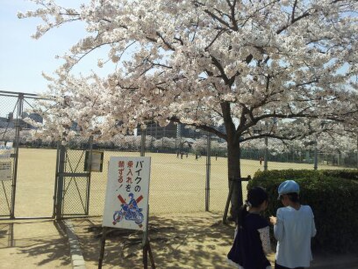 誠光ハイツの周辺写真
