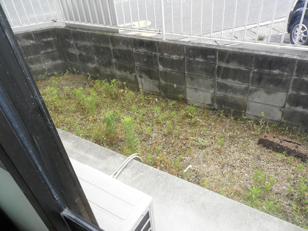 庭　専用庭