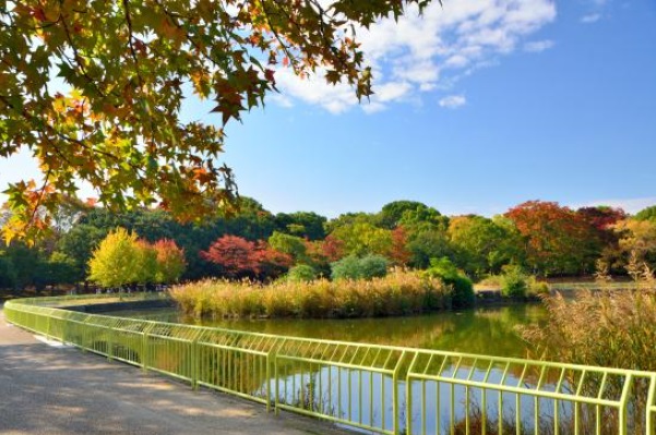 【大阪市住吉区長居西のアパートの公園】