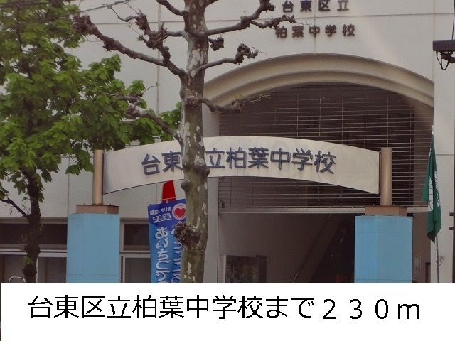 中学校　台東区立柏葉中学校（中学校）まで230m