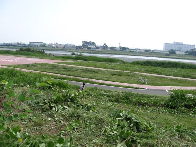 その他　酒匂川左岸サイクリング場（その他）まで1897m