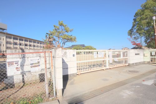 小学校　奈良市立西大寺北小学校（小学校）まで1195m