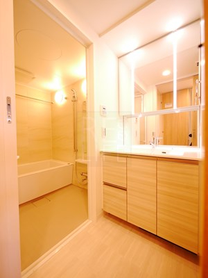 洗面設備　フレンシア四谷左門町