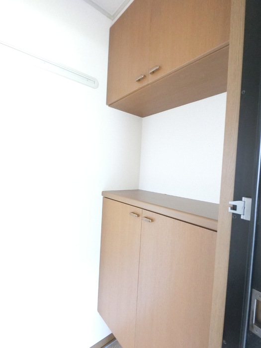 玄関　反転同タイプ・現況優先