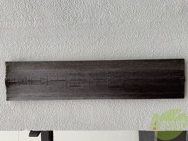 小学校　西宮市立上甲子園小学校（小学校）まで319m