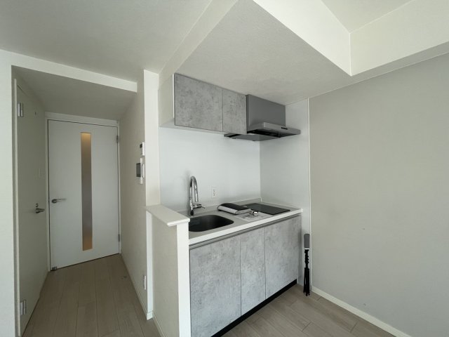 キッチン　同物件別号室のものです。