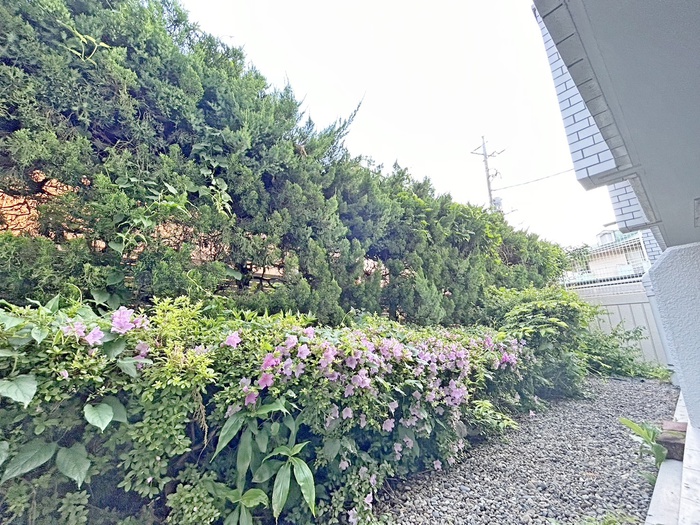 眺望