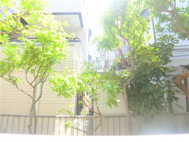 眺望　展望