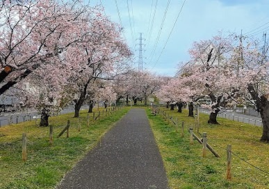 公園　江北緑道（公園）まで631m