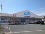 ドラックストア　ウエルシア浜松参野町店（ドラッグストア）まで290m