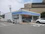 コンビニ　ローソン和歌山紀三井寺南店（コンビニ）まで310m