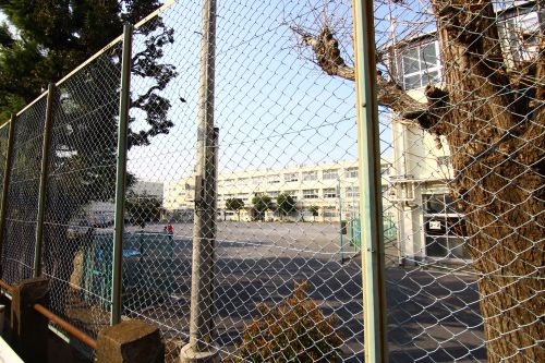 小学校　横浜市立日吉台小学校（小学校）まで130m
