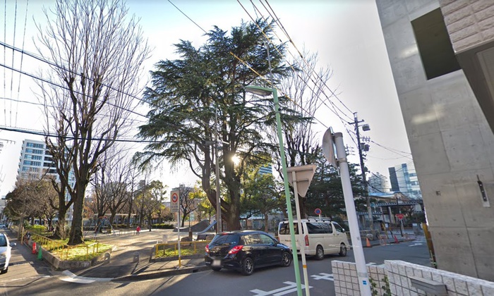 公園　布池公園（公園）まで233m