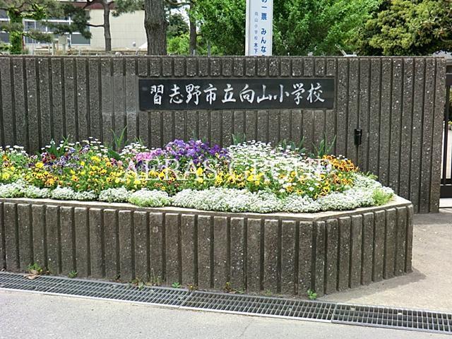 小学校　習志野市立向山小学校（小学校）まで366m