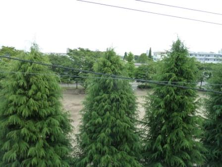 眺望　同タイプ別部屋