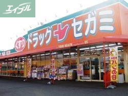 ドラックストア　ドラッグセガミ岡山表町本店（ドラッグストア）まで924m