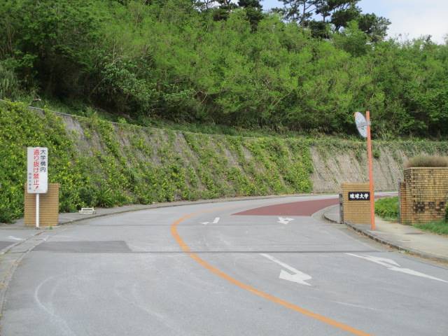 大学・短大　国立琉球大学（大学・短大）まで329m