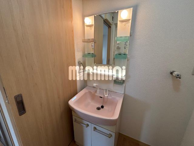 洗面設備　シャワー付き洗面化粧台です。