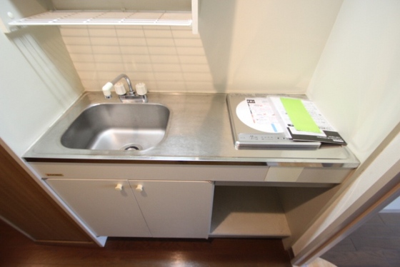 キッチン　※別号室の写真です