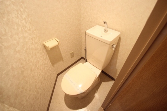 トイレ　※別号室の写真です