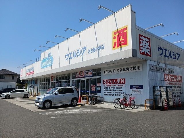 ドラックストア　ウェルシア薬局名古屋小塚（ドラッグストア）まで730m