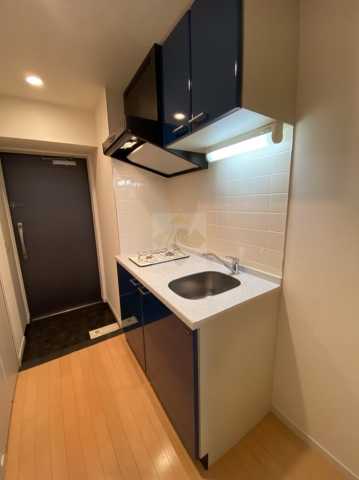 キッチン　パレステュディオDOLCE本駒込