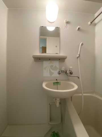 洗面設備　パレステュディオDOLCE本駒込