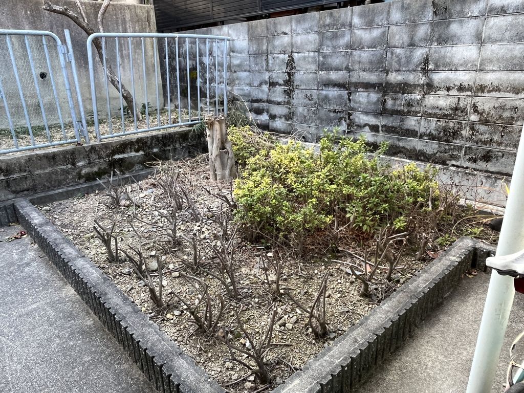 庭　庭