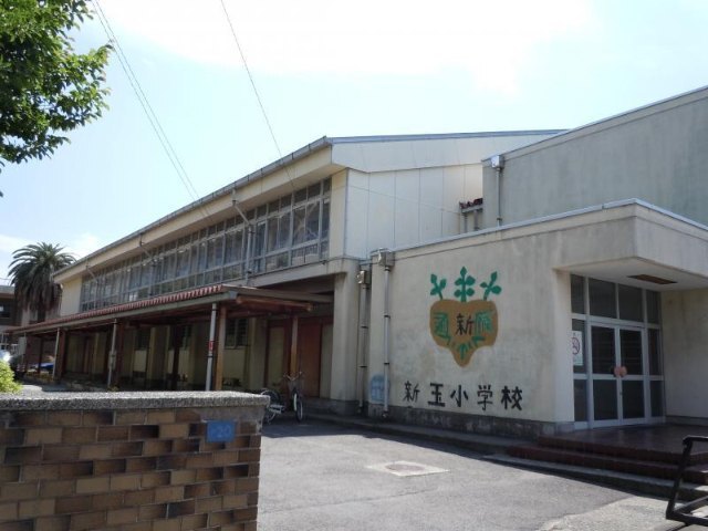 小学校　小田原市立新玉小学校（小学校）まで210m