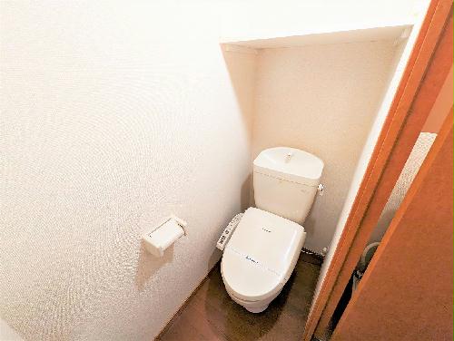 トイレ　設備仕様は号室により異なる為、現況を優先します。