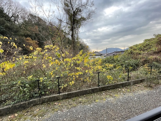 眺望　※別号室の写真です