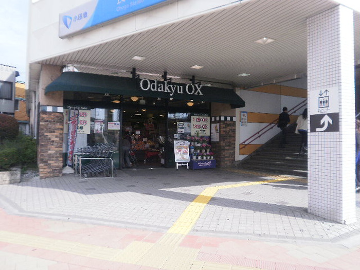 スーパー　Odakyu　OX（スーパー）まで448m