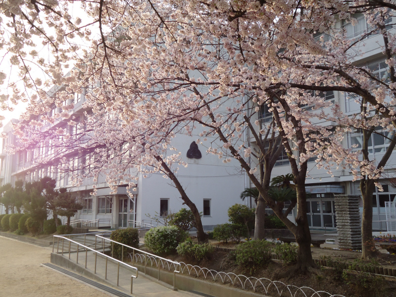 小学校　高岡小学校（小学校）まで900m