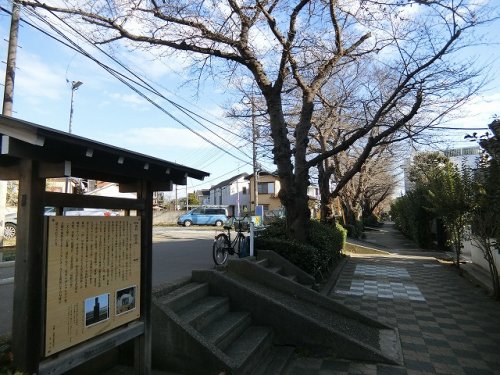 公園　桜土手公園（公園）まで575m