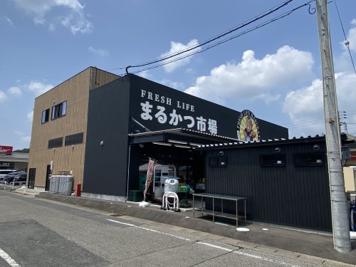 スーパー　まるかつ市場本店（スーパー）まで1655m