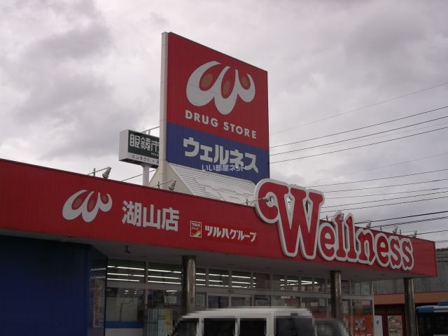ドラックストア　ドラッグストアウェルネス 湖山東店（ドラッグストア）まで1077m
