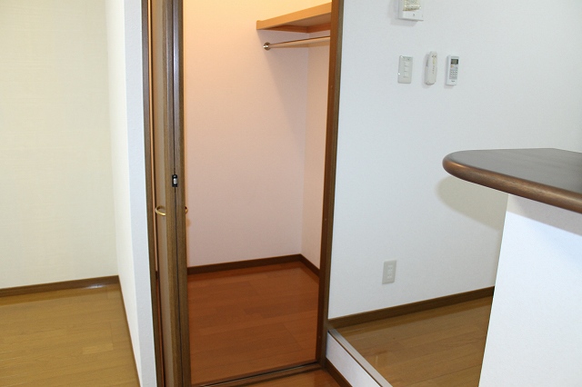 収納　ウォークインクローゼット