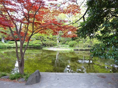 公園　清水谷公園（公園）まで885m