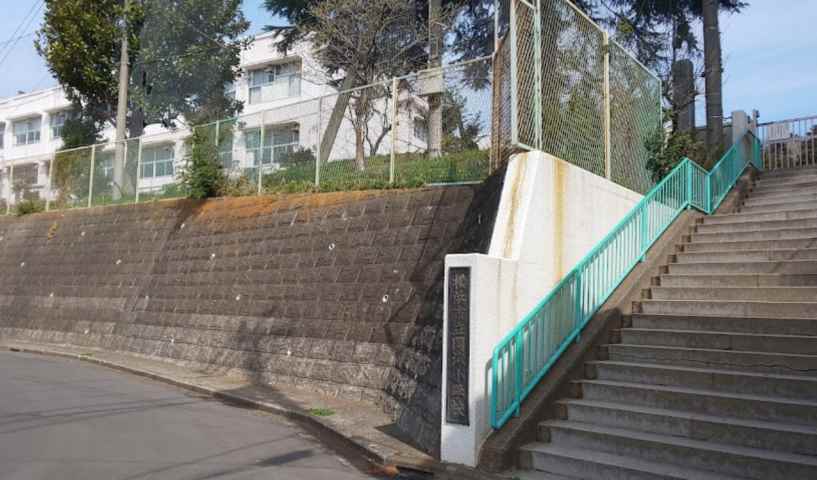 小学校　横浜市立岡津小学校（小学校）まで1115m