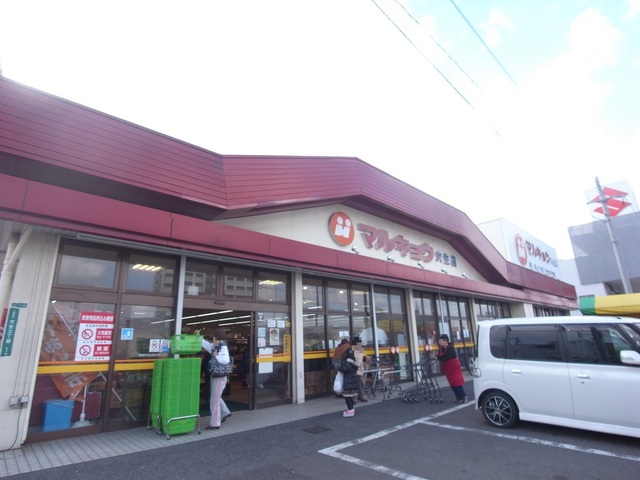 スーパー　マルキョウ穴生店（スーパー）まで1100m