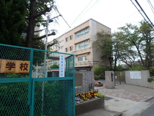 小学校　横浜市立つつじが丘小学校（小学校）まで774m