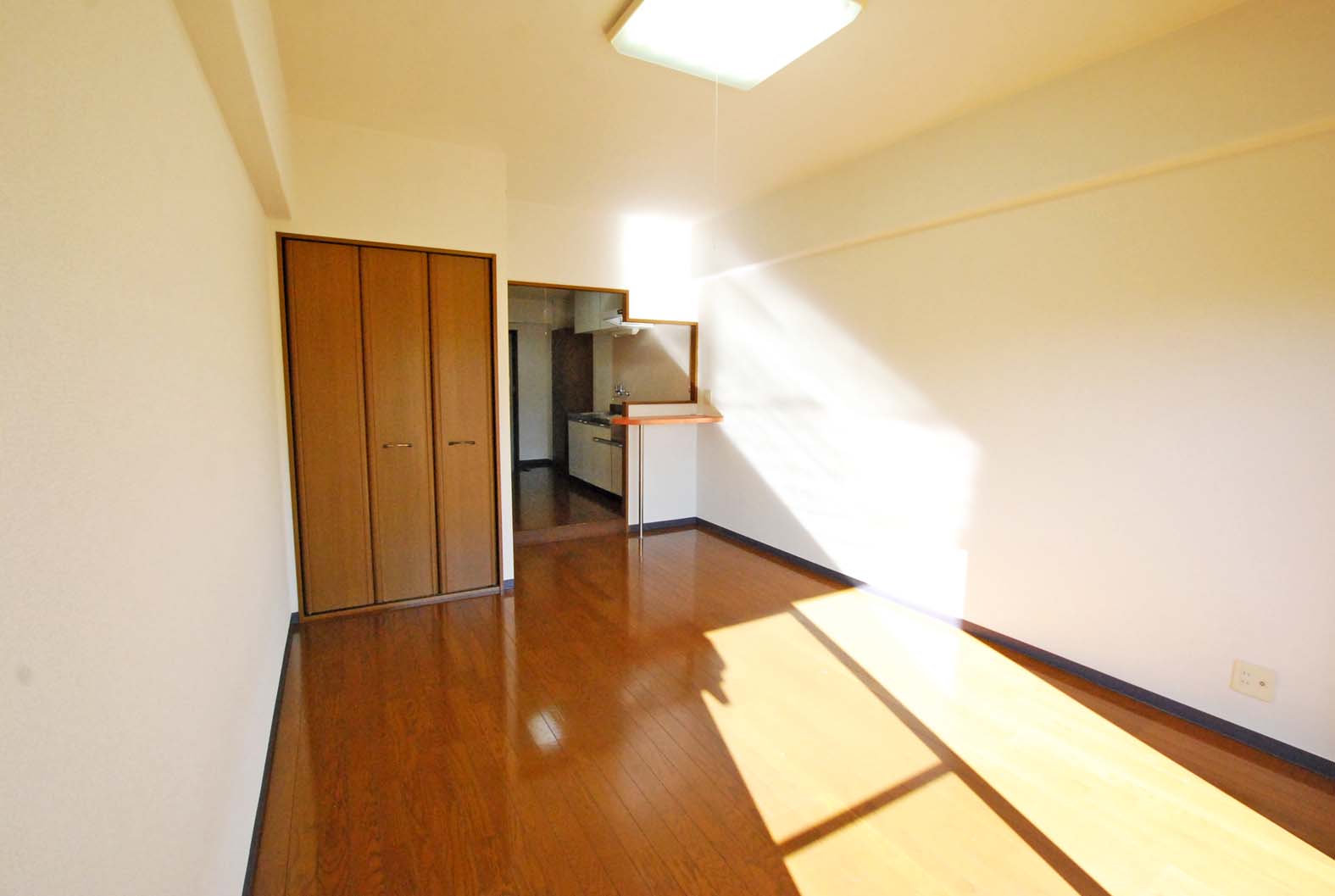 居室・リビング　窓際から中を見たところ