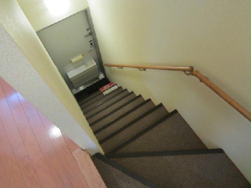玄関　自分専用の階段です。