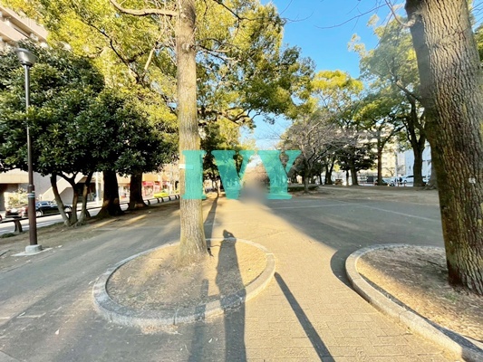 公園　大通り公園（公園）まで224m