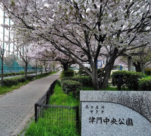 公園　津門中央公園（公園）まで604m