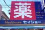 ドラックストア　ヘルスケアセイジョー妙蓮寺店（ドラッグストア）まで734m