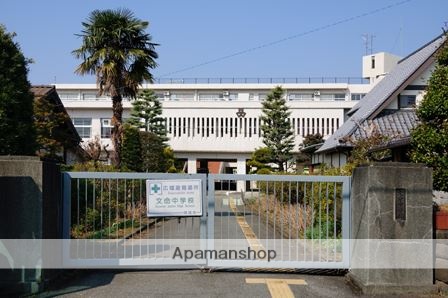 中学校　分命中学校（中学校）まで508m